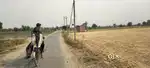 Industrial jamin bda gav 40 futa road