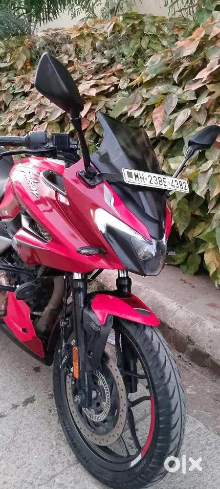 pulsar model 2022 owner 1st