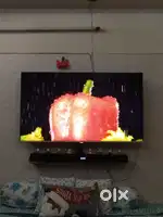 Vu masterpiece 55 Qled