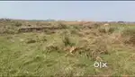 MY PROPERTY 1200 SQ FT PLOT ,GHARABARI 15 LAKH ,SUNDARAPADA
