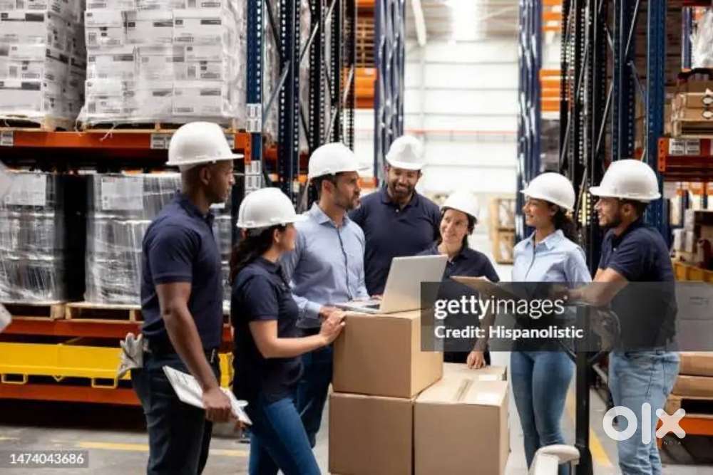Loading and Unloading Helper in Warehouse