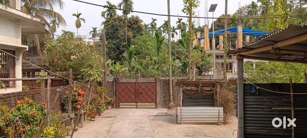 28 Lesa with Assam type house Bongaigaon choudharypara ward no. 17