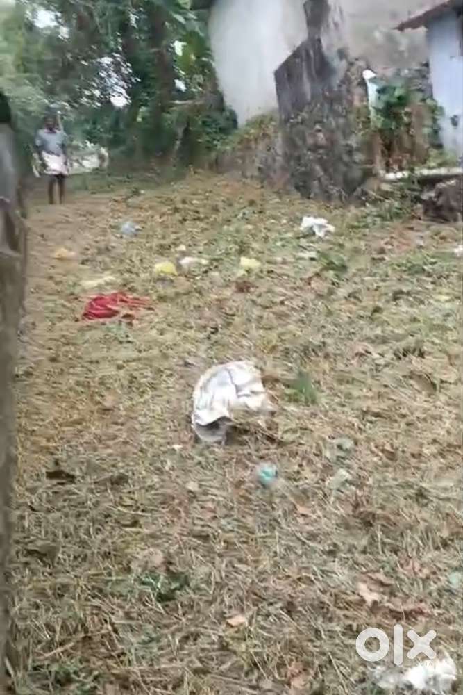 Roadside with amazing opportunities