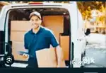 Parcel van helper