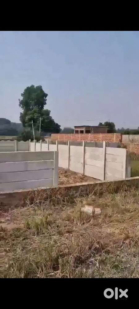 Naubatpur ke near by plot