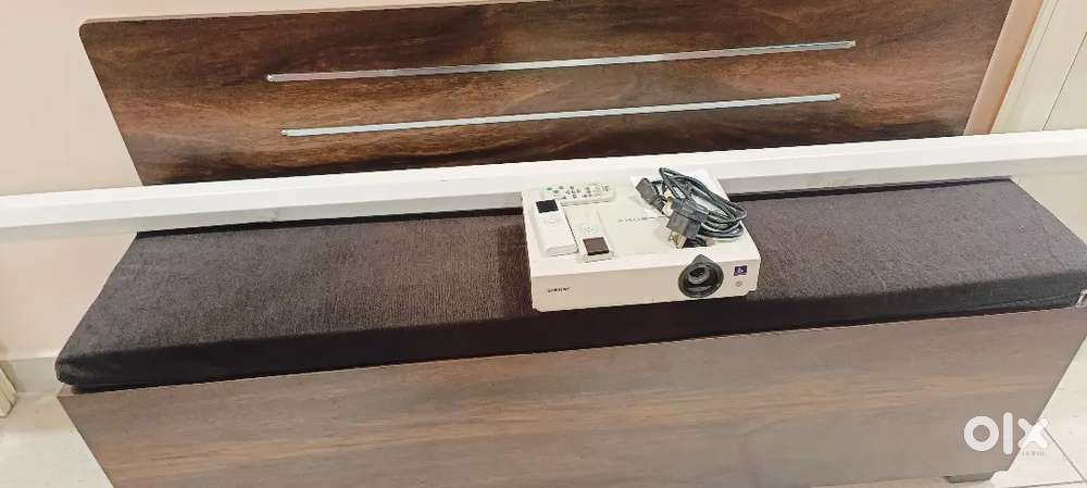 Projector with screen