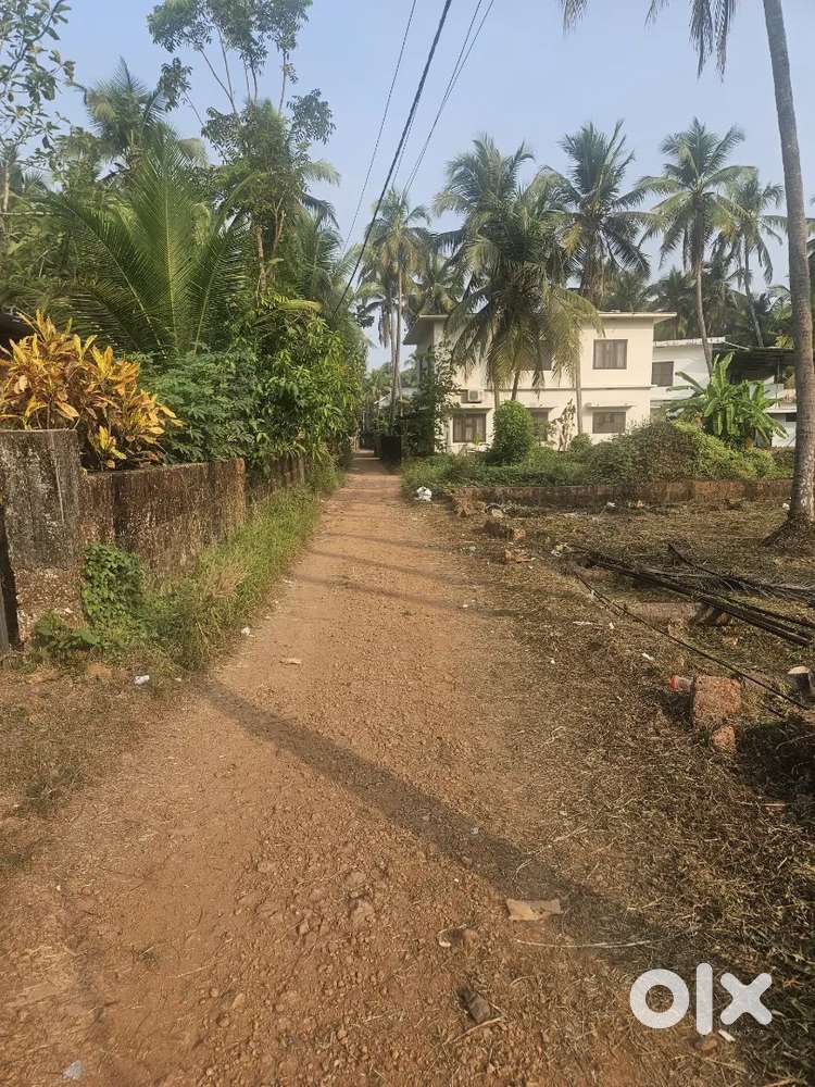 14 cent Housing Plot at Pallichal Oliyangara juma masjid