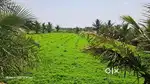 Krishnagiri shoolagiri HOSUR Agriculture  and Industrial area lands
