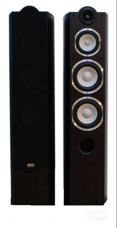 TAGA HARMONY Platinum F-100 (Poland, European) Excellent condition .