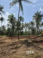 Home land fro sale