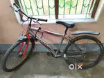 Brand new cycle