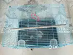 Love birds nest  cage good condition..