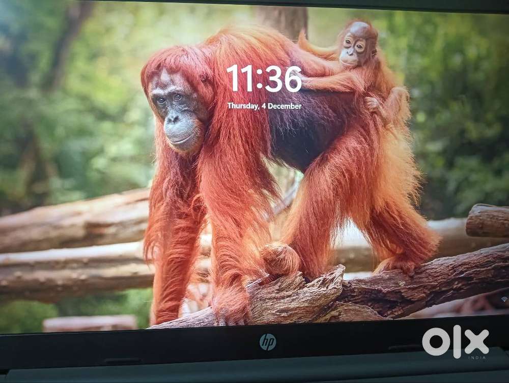 Hp 250 g9 with Intel core i3 ,13 th generation 2025 model 8/512 expend