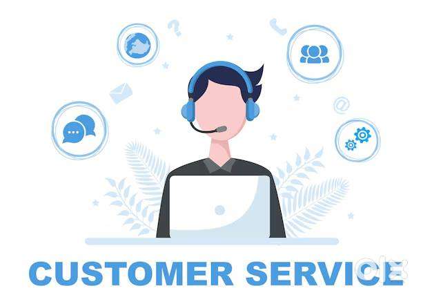 Customer Support Executive - Hindi