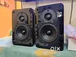 tangent EVO E4i studio power speakers 50 Watts brand new condition