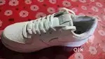 Premium Sports Shoes  Size 8  Brand New with Box