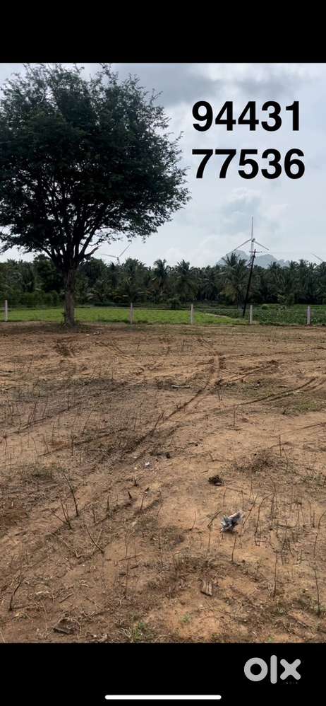 19 cent land with water fesility