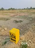 Kalavai Thattacheri resale plot sale 100 plots