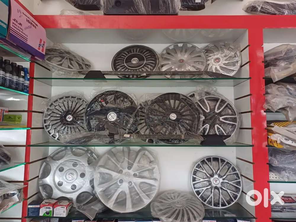 Vehicle Electrician And Mechanical Worker