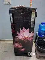 5 month's product all bills available