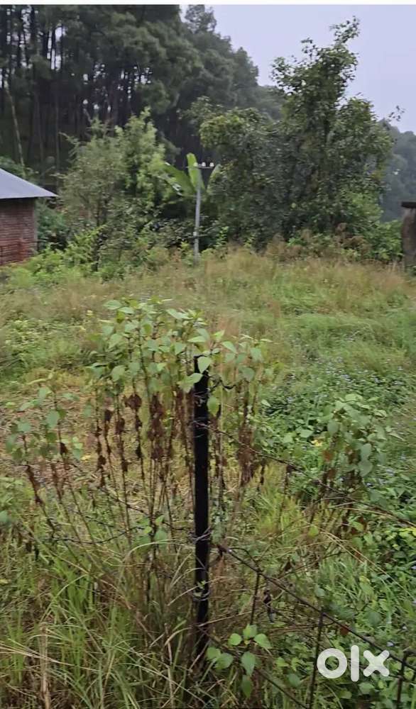 30 Marla in Palampur