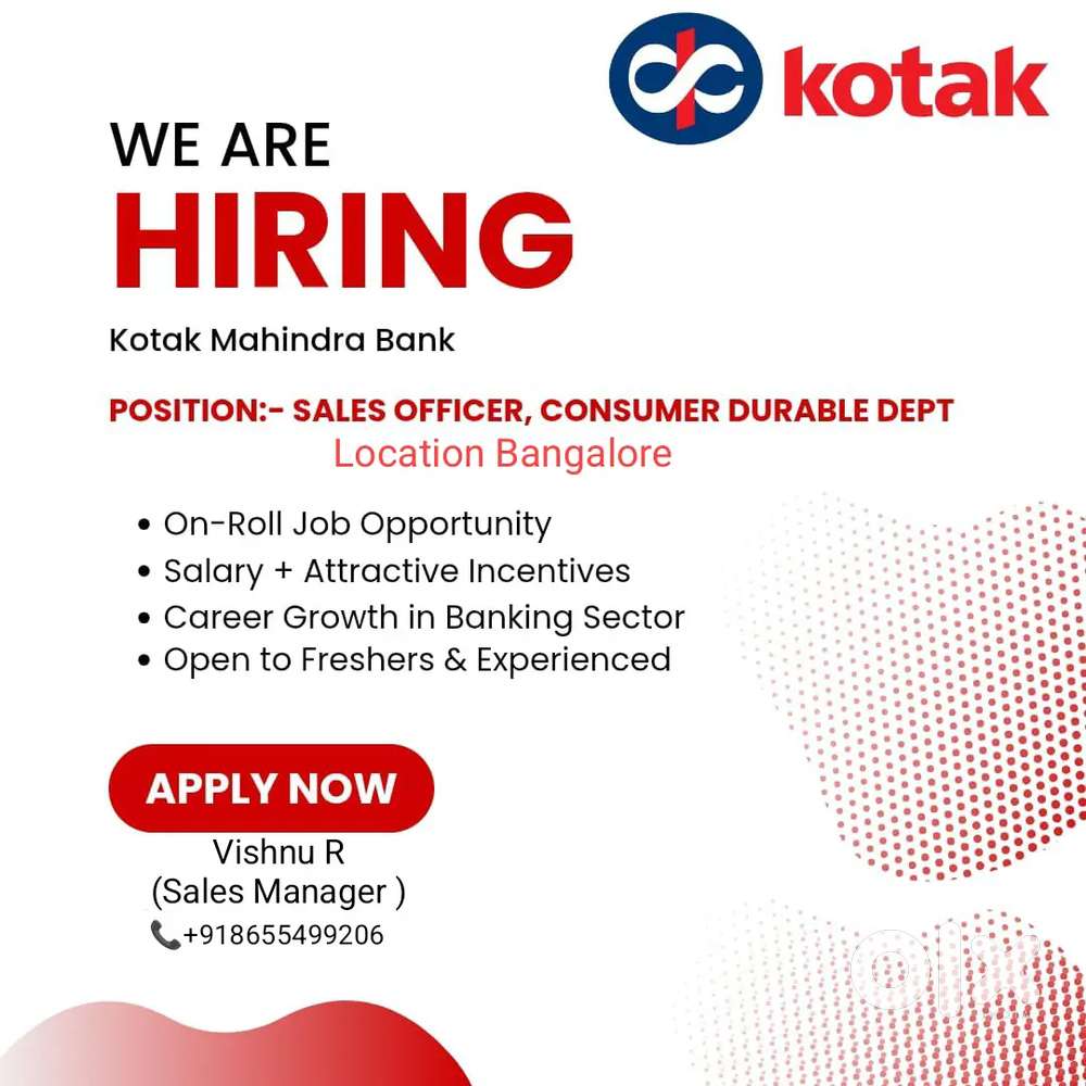 Sales Officer For Consumer durable Section