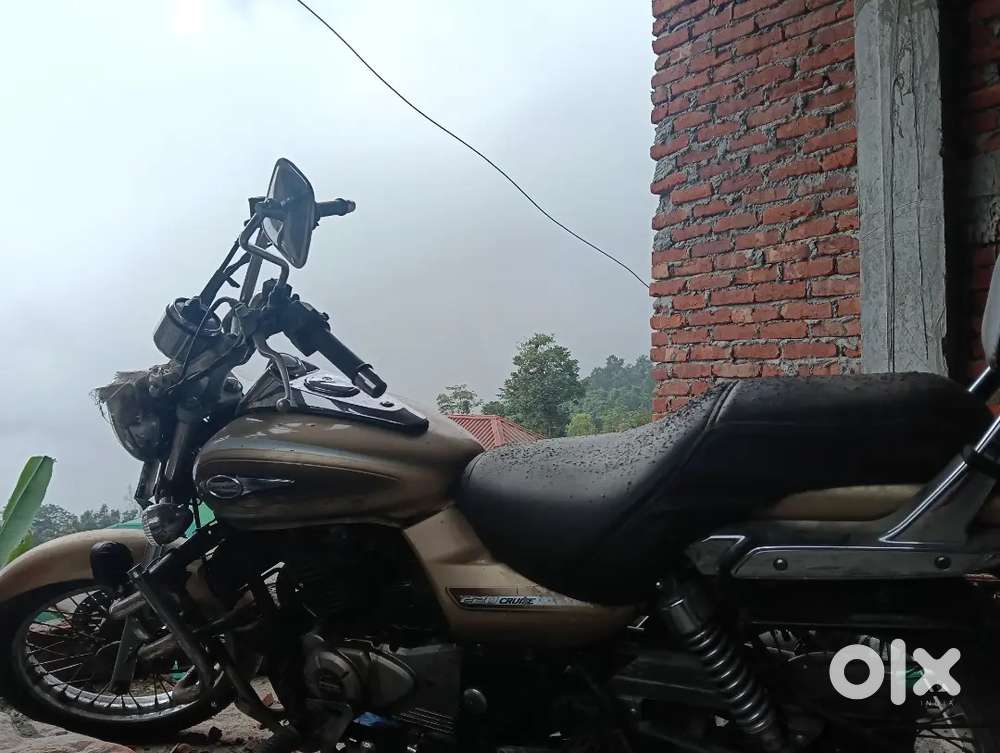 Avenger 220 cruiser Rs 40000 immediate sell