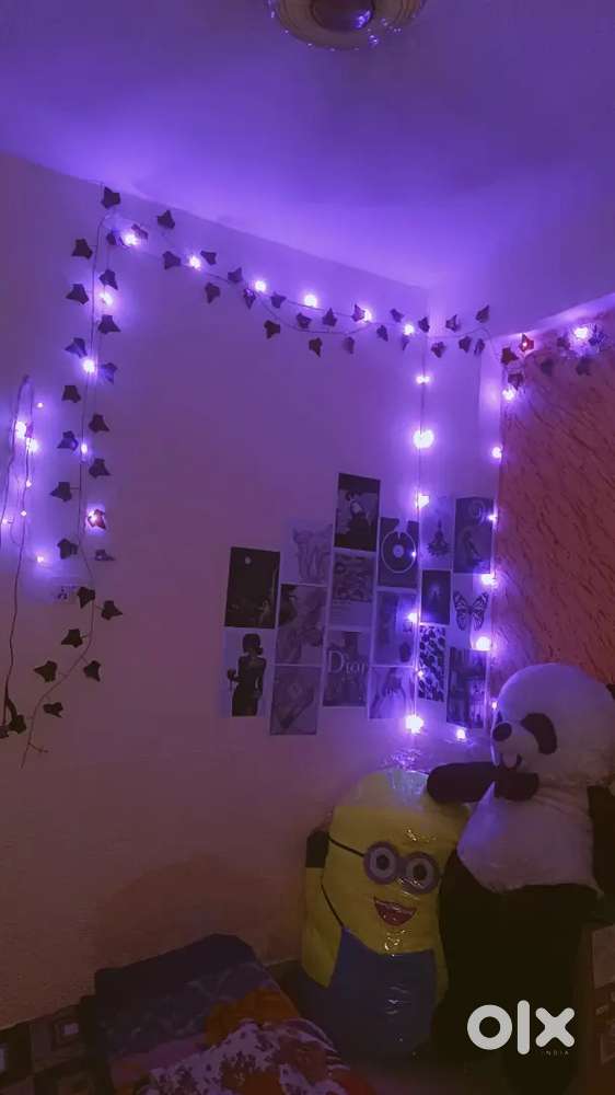 Searching for girls flatmate