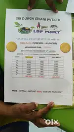 LDF SIVA DURGA SRAVANI PVT LTD
