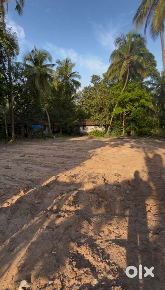 14 and half cent plot for sale