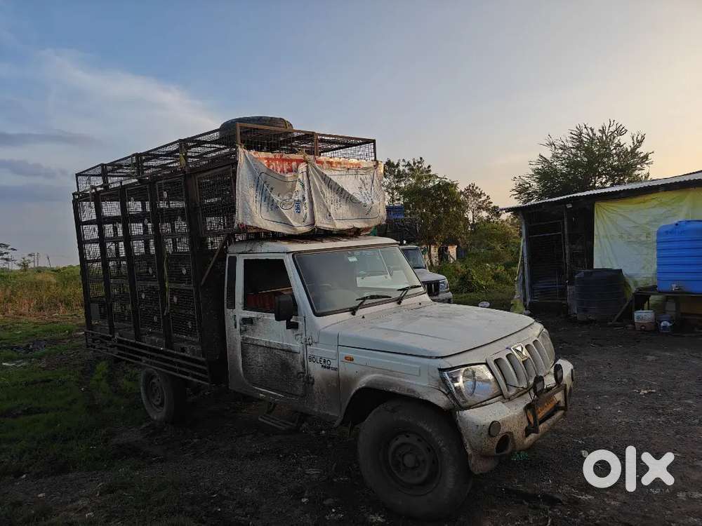Mahindra Bolero pickup