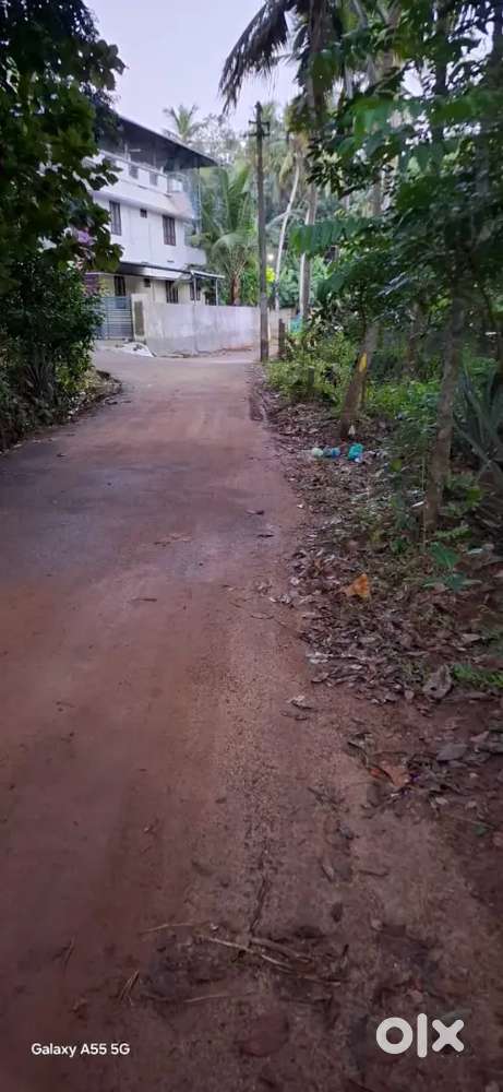 വസ്തു വില്പനയ്ക്ക് . കാഞ്ഞിരംകുളം കോളേജിനു സമീപം വസ്തു വില്പനയ്ക്ക് .