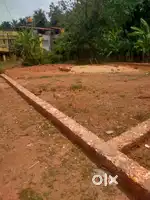 Chilimbi 5 Cents Muda Approved site For Sale Rs.18Lakhs per cents nego