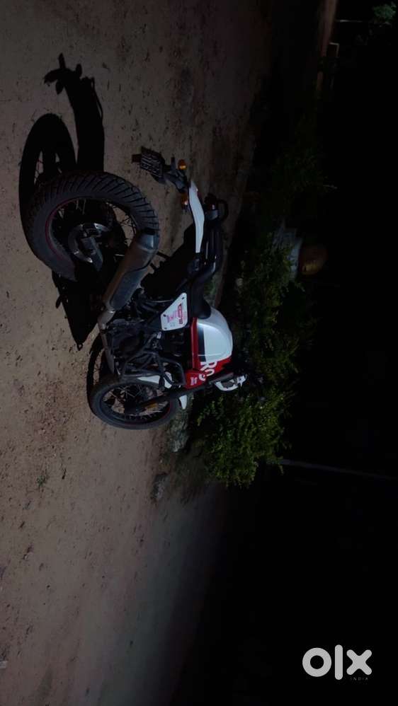 Royal enfield scram 411