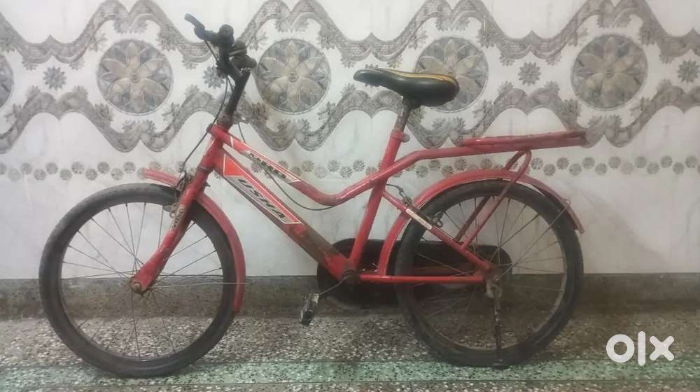 Usha Pro Bicycle for sale