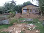 1.5 katha miyadi land with Assam type house.Baghara oujari gaon,