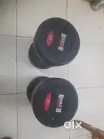 15 and 25 kg Dumbbells.