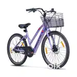 Electric Bicycle Hero Lectro c4+