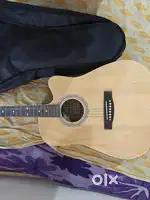 Acoustic Guitar (Premium)