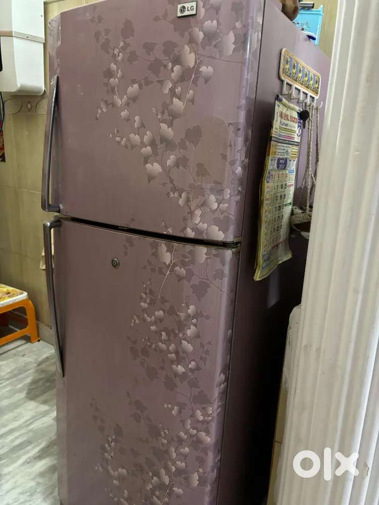 LG Double Door Fridge 265 ltr