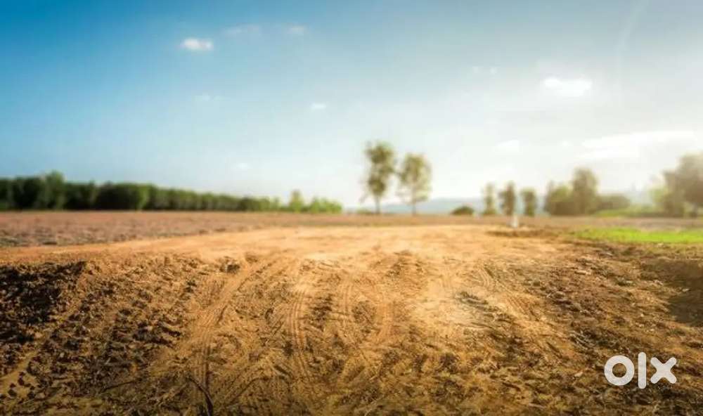 Land or bilding buyers contact