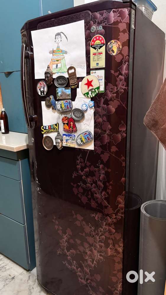 Samsung fridge 263 litres