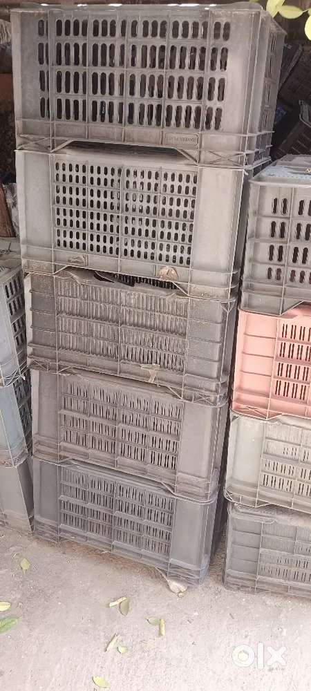 100 કેરેટ વેચવાના છે.