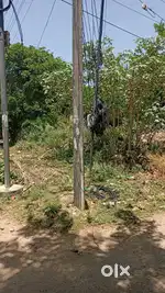 Pudukkottai periyar nagar old house for sale land area 2400 sq.ft west