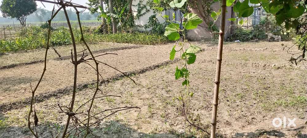 450000 katha bechana hai ye jamin srirampur village me hai