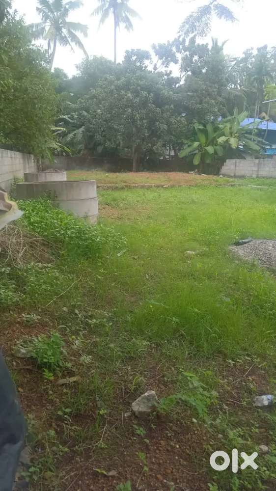 10 Cents compounded plot for urgent sale