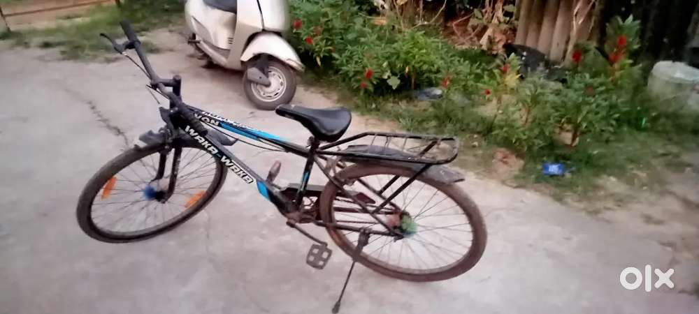 Avon (waka waka) bill is available