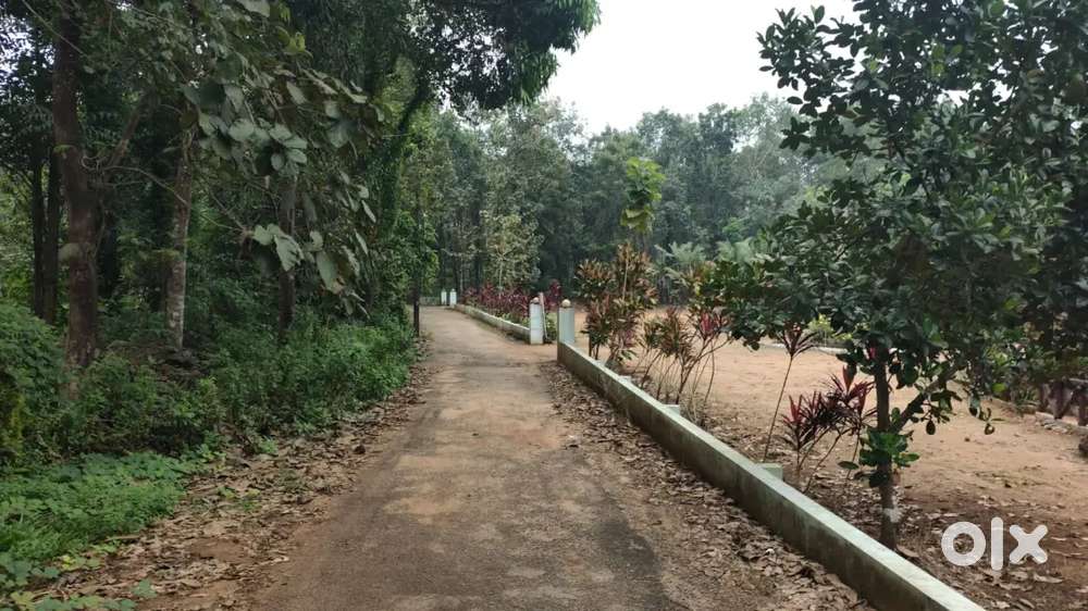 Thodupuzha karimannoor 4 acre 50 cent