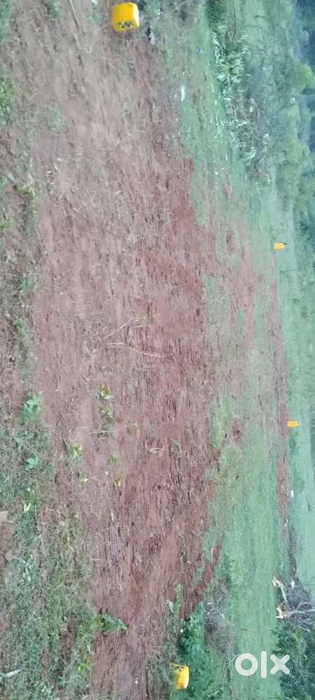 Plot sale for just 4,75,000