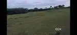 Farm land for sale in sivagangai